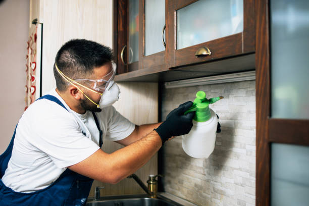Best Commercial Pest Control Services  in Vley, AL