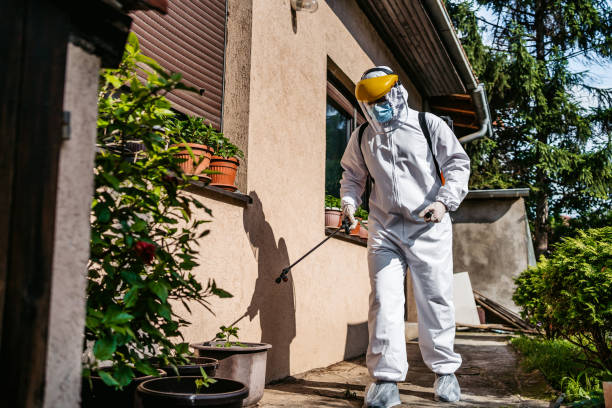 Best Pest Removal Services  in Vley, AL