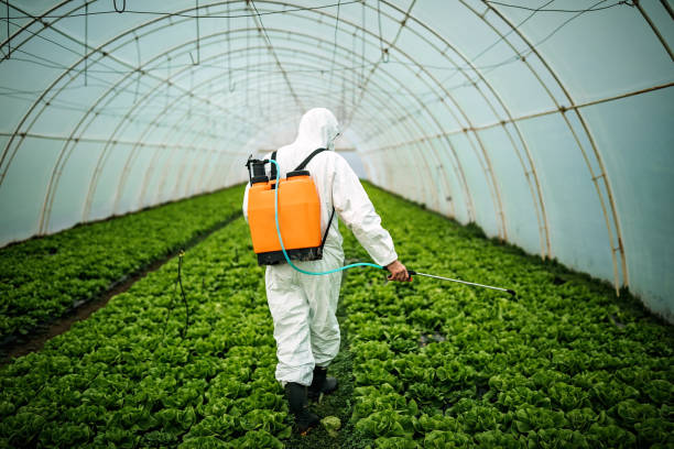 Professional Pest Control in Valley, AL