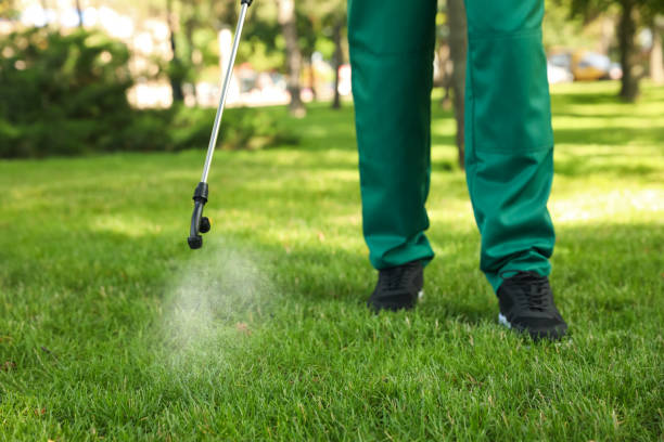 Best Mosquito Control Services  in Vley, AL