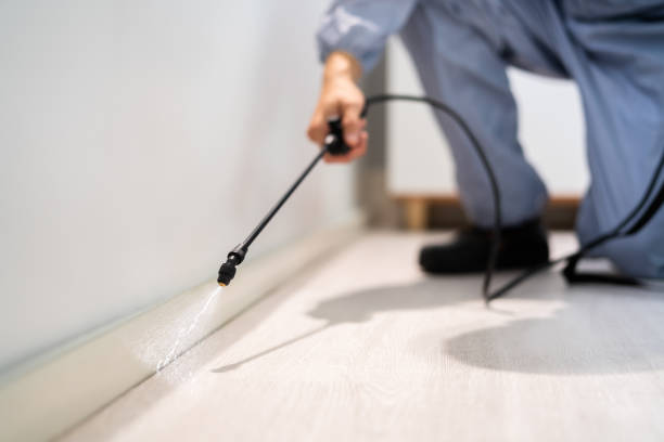 Best Cockroach Control Services  in Vley, AL