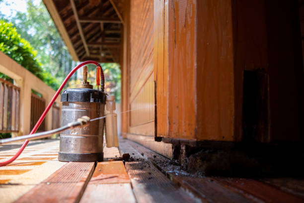 Best Pest Prevention Services  in Vley, AL